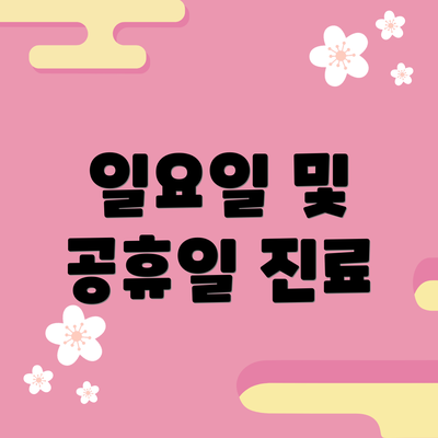 일요일 및 공휴일 진료