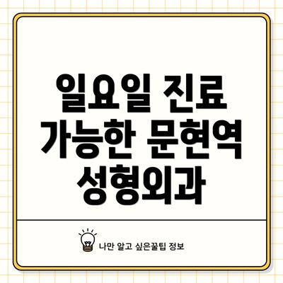일요일 진료 가능한 문현역 성형외과