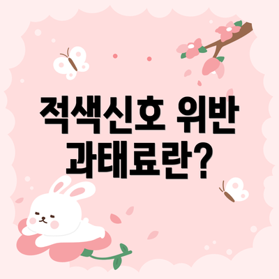적색신호 위반 과태료란?