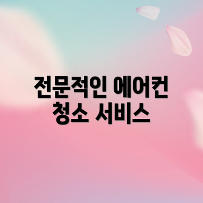 전문적인 에어컨 청소 서비스