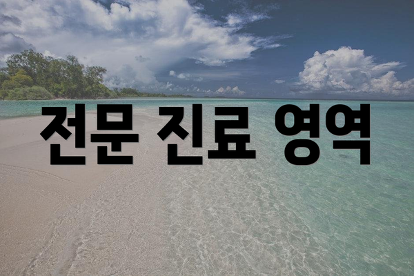 전문 진료 영역