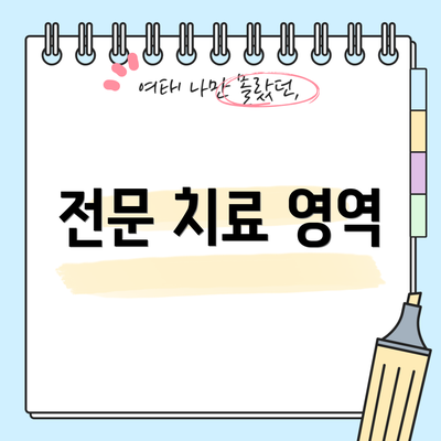 전문 치료 영역