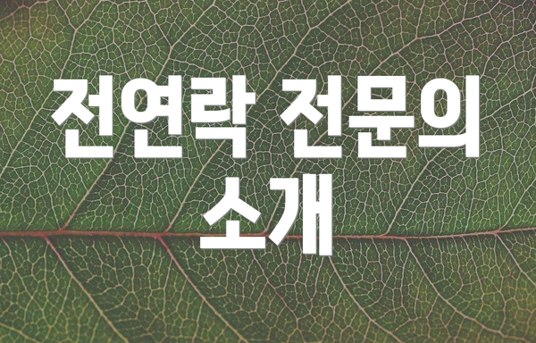 전연락 전문의 소개