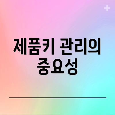 제품키 관리의 중요성