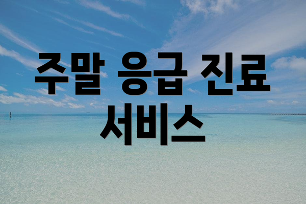 주말 응급 진료 서비스