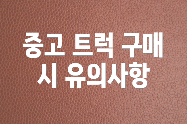 중고 트럭 구매 시 유의사항