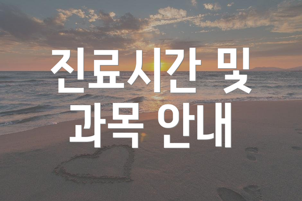 진료시간 및 과목 안내