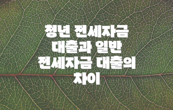 청년 전세자금 대출과 일반 전세자금 대출의 차이