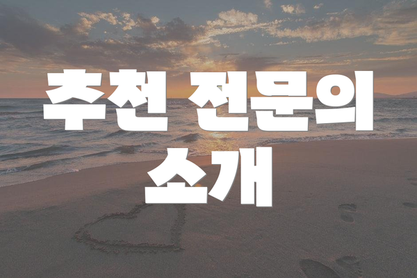 추천 전문의 소개
