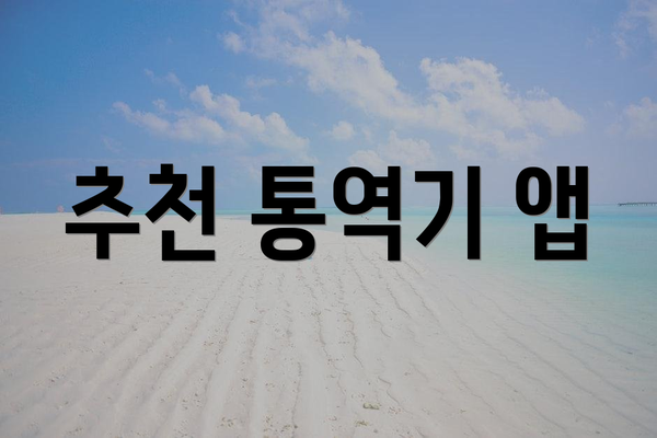 추천 통역기 앱