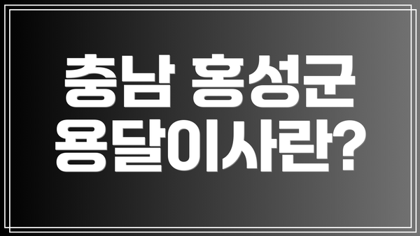 충남 홍성군 용달이사란?