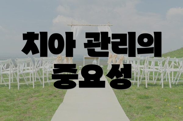 치아 관리의 중요성