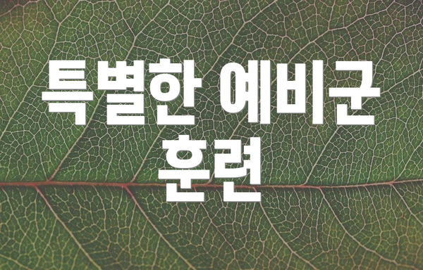 특별한 예비군 훈련