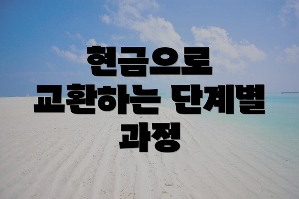 현금으로 교환하는 단계별 과정