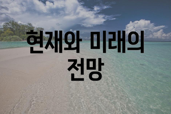현재와 미래의 전망