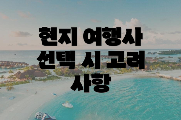 현지 여행사 선택 시 고려 사항