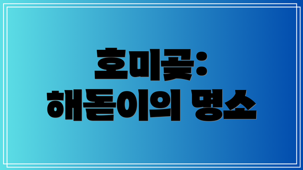 호미곶: 해돋이의 명소