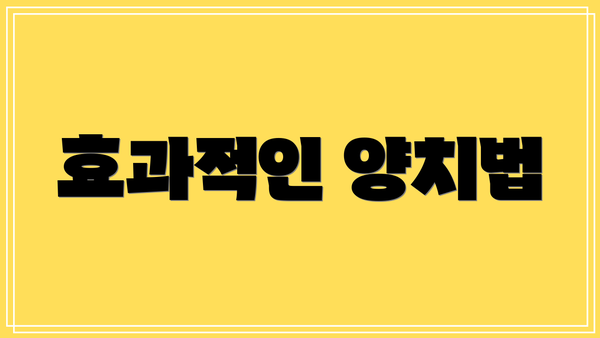 효과적인 양치법