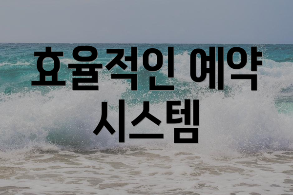 효율적인 예약 시스템