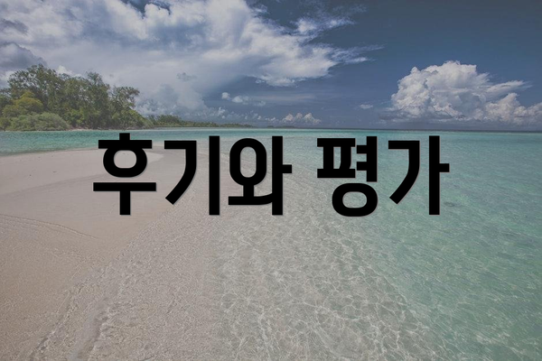 후기와 평가