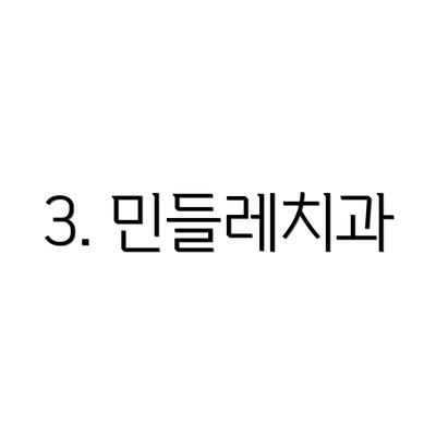 3. 민들레치과
