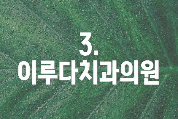 3. 이루다치과의원