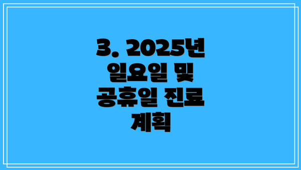 3. 2025년 일요일 및 공휴일 진료 계획