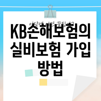 KB손해보험의 실비보험 가입 방법