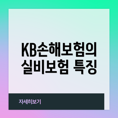 KB손해보험의 실비보험 특징