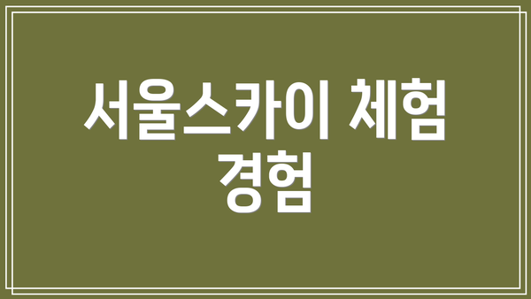서울스카이 체험 경험