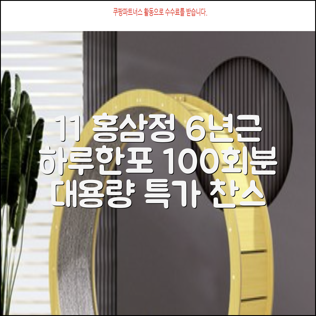 [1+1 특가] 홍삼정 6년근 하루한포 100회분 대용량+쇼핑백, 2개, 1L 추천 리뷰