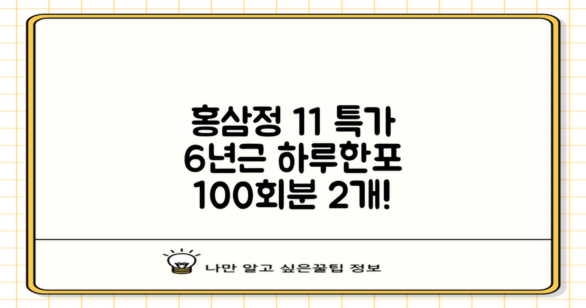 [1+1 특가] 홍삼정 6년근 하루한포 100회분 대용량+쇼핑백, 2개, 1L 추천 리뷰